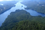 survol Great bear Rainforest 0009 1690